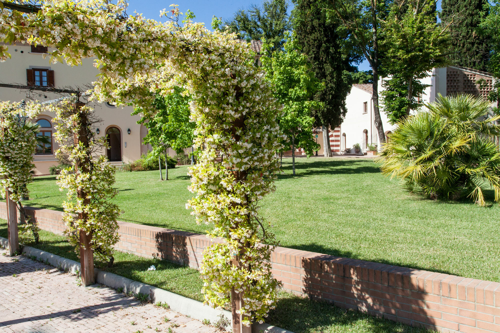 Borri Casciana Terme