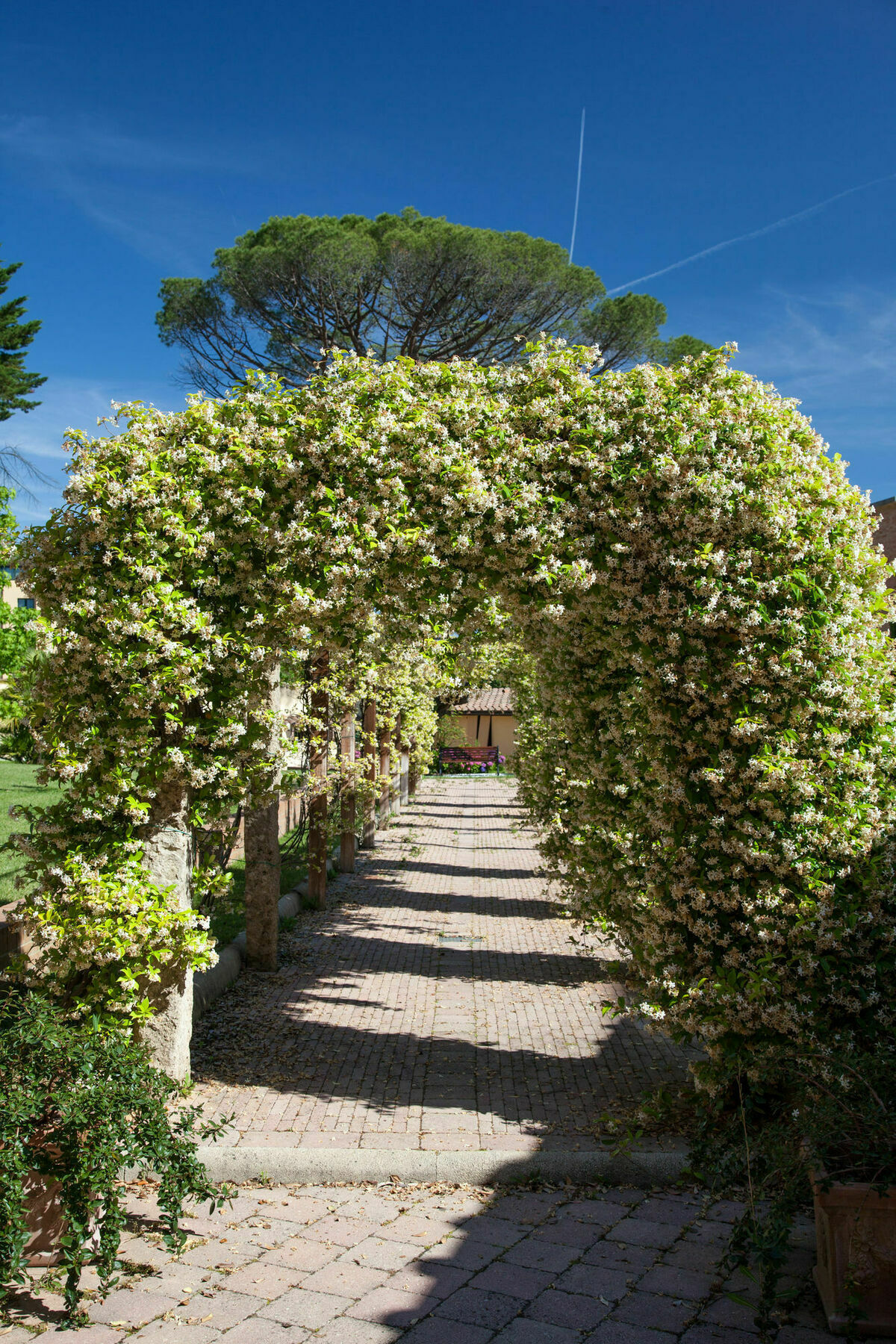 Apartment Borri